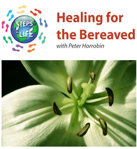 Steps to Life : Healing for the Bereaved
