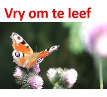 VRY OM TE LEEF: Leef vry - maak Hom Koning